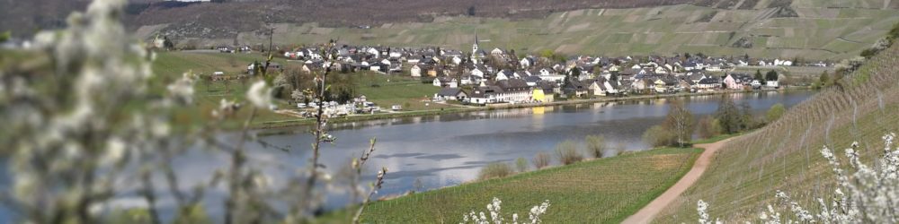 Blick auf Piesport