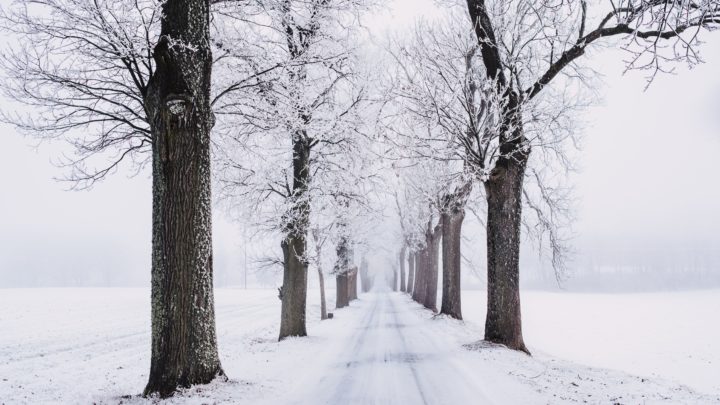 Schnee
