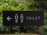 Trenntoilette: ist das eine Alternative?