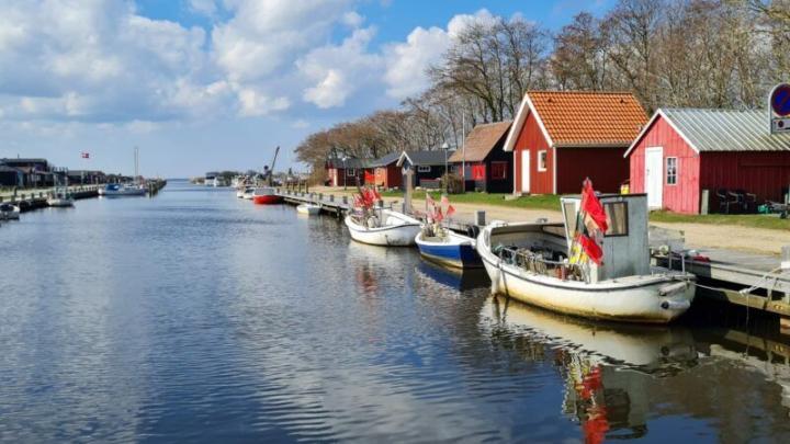 Stauning Havn